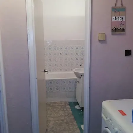 アパート Apartament Stradaa Rozelor マンガリア